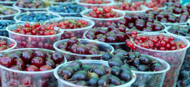 istock berries of different varieties are Packed in plastic cups. selective focus. berry background 1264657594