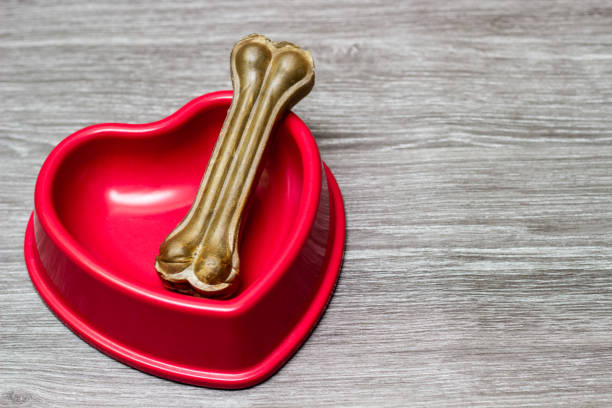 istock Dog bone in the red bowl 1264659132