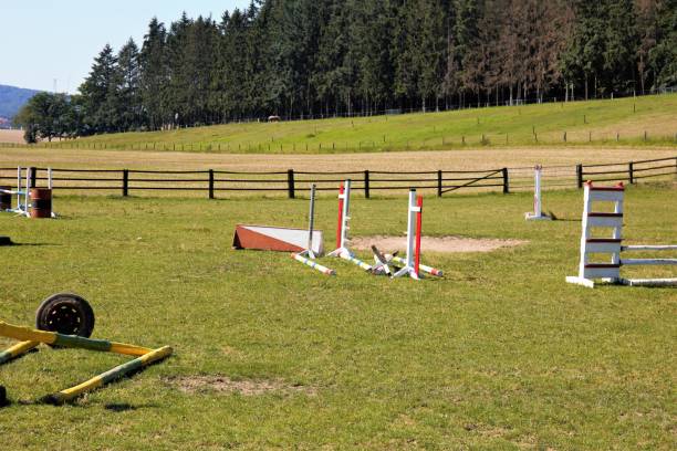 istock girl on a fence 1264659406