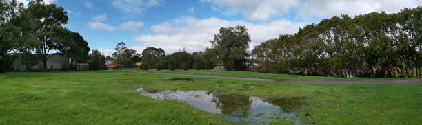 istock Beautiful panoramic view of a park with green grass, tall trees, deep blue sky and light clouds 1264661537