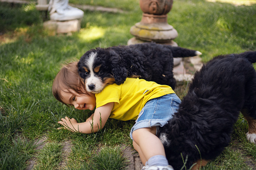 Young girl with puppies