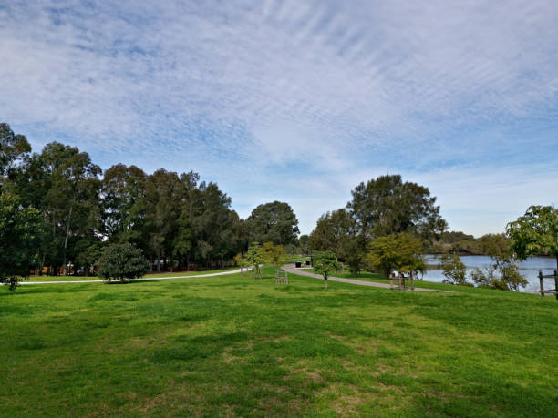 istock Beautiful view of a park with green grass, tall trees, deep blue sky and light clouds 1264662277