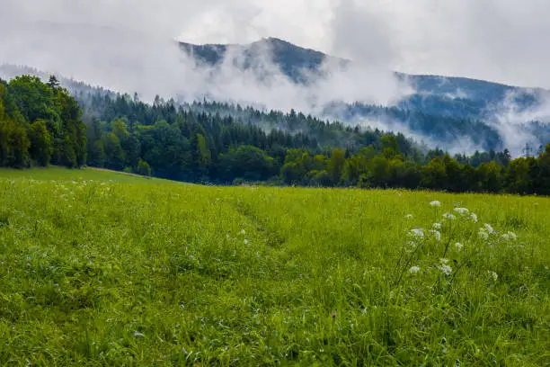 Photography of mountain landscape hiding in clouds captured during rainy weather in Lipova-Lazne, Czechia.