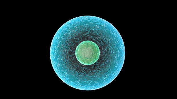 istock 3D rendering of cell on black background. Super high resolution, high pixel picture. 1264663103
