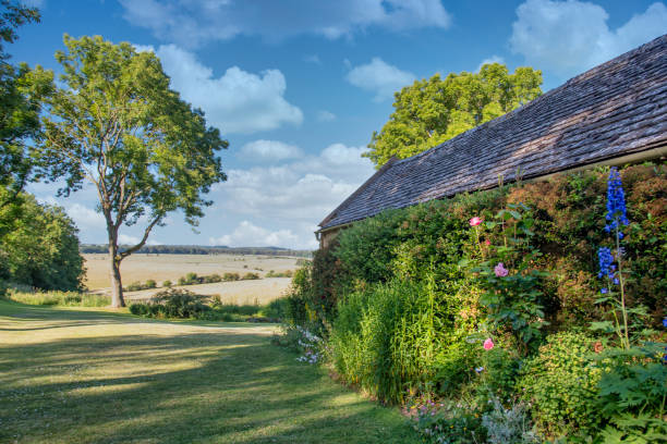 котсуолд countryside view - cotswold стоковые фото и изображения