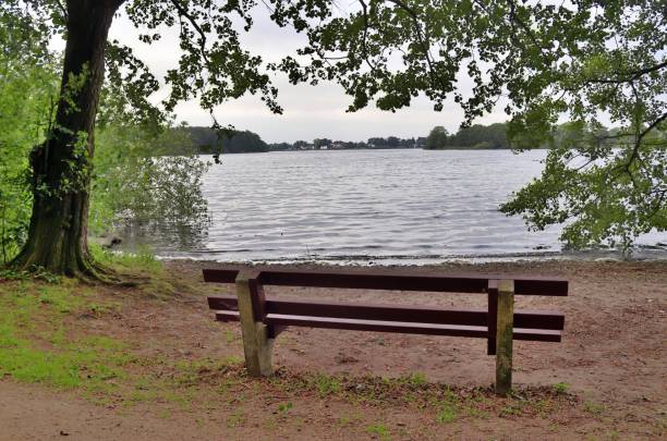 istock A public empty bench found in northern Europe 1264665082