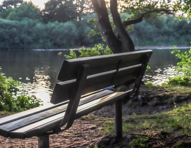 istock A public empty bench found in northern Europe 1264665320