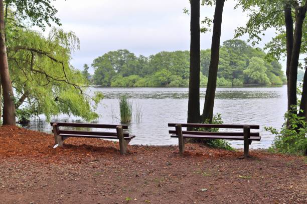 istock A public empty bench found in northern Europe 1264665369