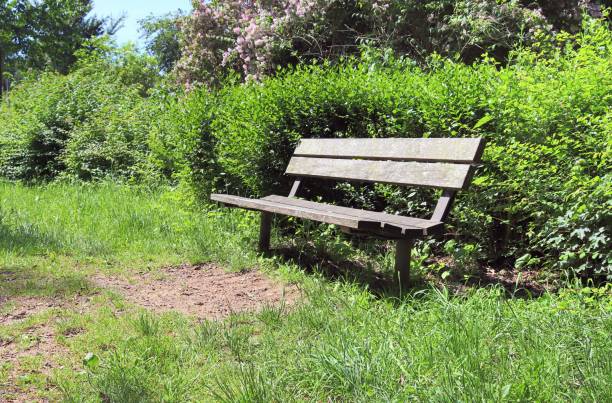 istock A public empty bench found in northern Europe 1264665415
