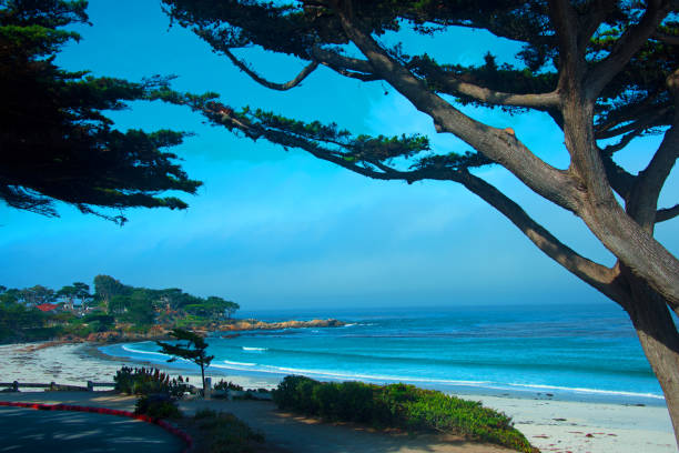 istock Beautiful beach-Carmel California 1264666001