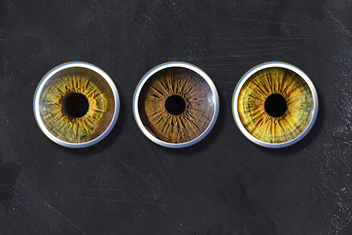 Macro close-up of three human eye iris eyeball