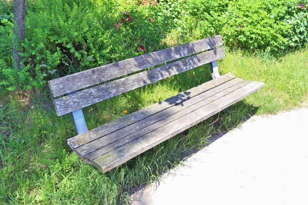 istock A public empty bench found in northern Europe 1264666064