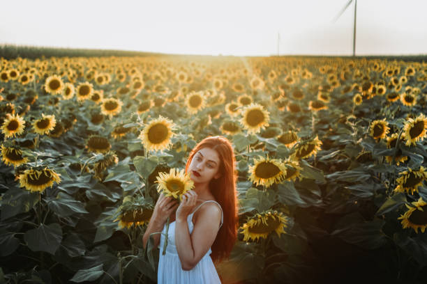 istock Woman in a Sunflower Field 1264667530