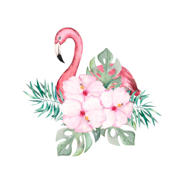 istock Watercolor illustration. Image of a pink flamingo. 1264668711