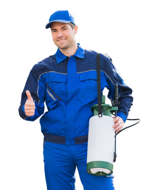 Work Men Insect 430+ Smiling Cockroach Stock Photos, Pictures & Royalty-Free Images ...