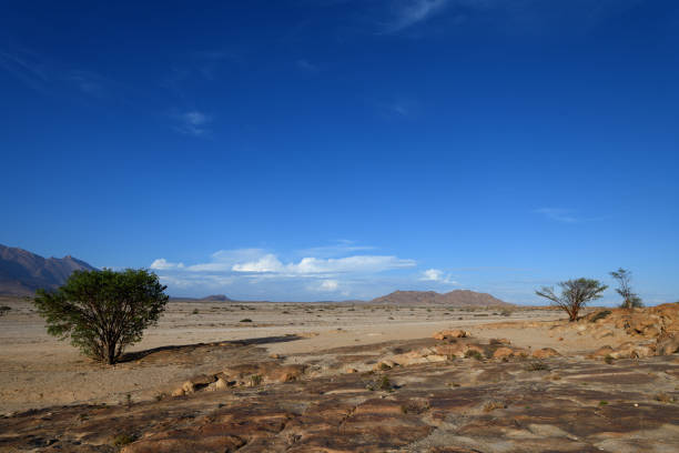 There is a tree in the left of the photo, with the edge, of the Brandberg Massif behind it. The sky is blue and the desert floor is sandy. In the distant left storm clouds can be seen brewing up.\n\nThe Brandberg Mountain is situated in the Erongo region of Namibia. It is a granite intrusion, which has formed a dome over 2500m above sea level. The photo was taken in February 2020 from Elephant Rock.