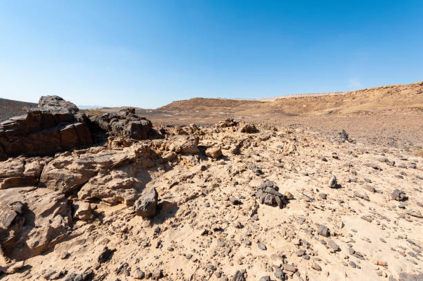 istock Negev Desert in Israel 1264673635