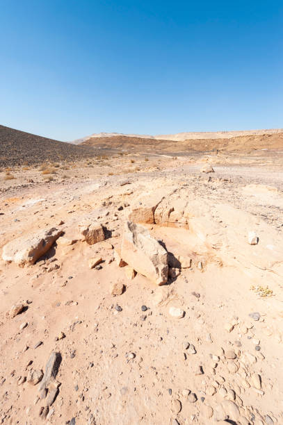 istock Negev Desert in Israel 1264673636