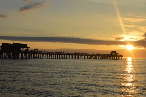 istock Pier of Naples Florida 1264676592