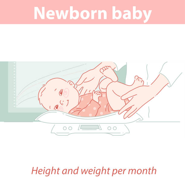 illustrazioni stock, clip art, cartoni animati e icone di tendenza di neonato su larga scala. il pediatra misura l'altezza e il peso del bambino - metro per laltezza