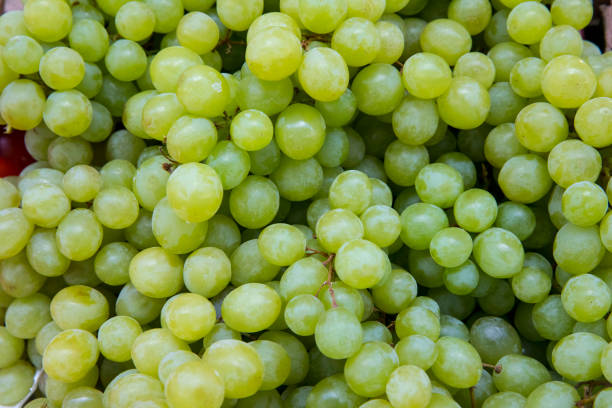 istock Fresh Fruit Brunch Green Grapes on Shelf in Fresh Fruit market 1264682398