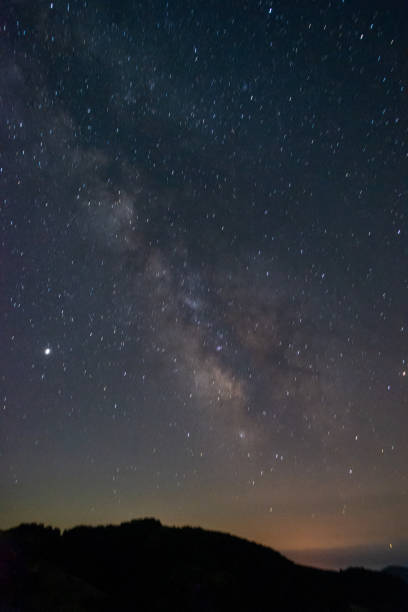 istock Milk way at night in forest. Night sky landscape. 1264686622