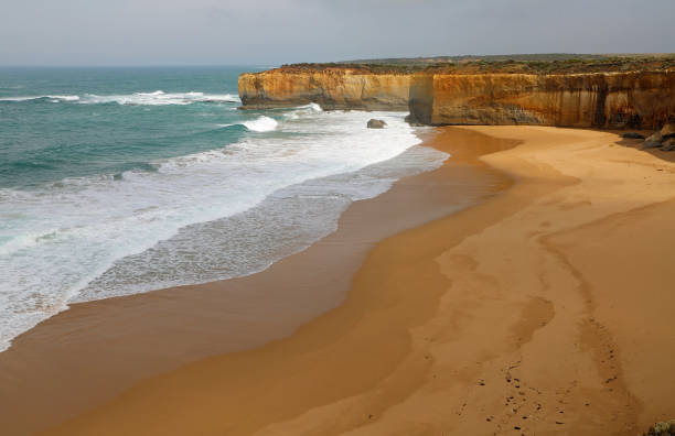 istock The beach and the cliff 1264686623