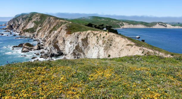 istock Spring Views of Chimney Rock in Point Reyes National Seashore 1264686725