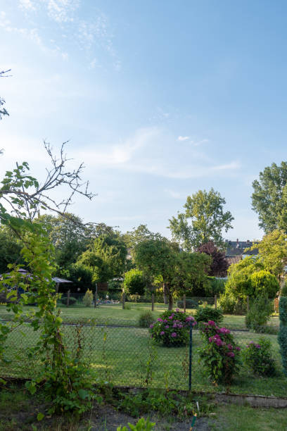 istock row of back gardens in the summer 1264687426