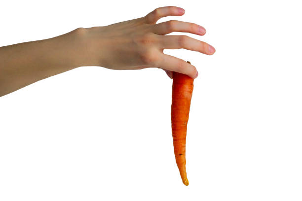 istock Hand holding carrot isolated on white background 1264694154