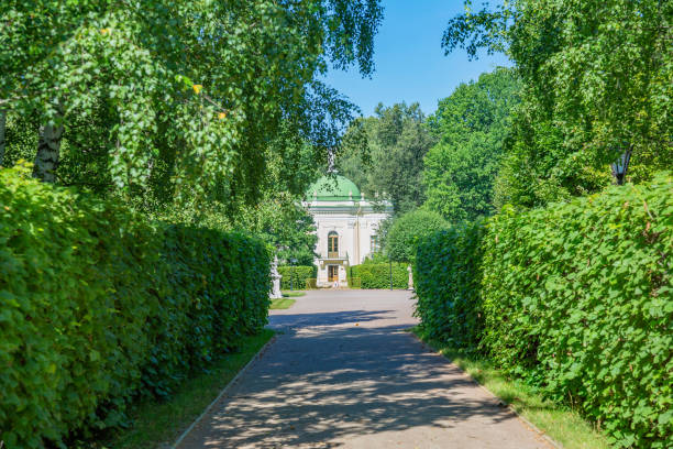 istock Path for pedestrians in the summer park 1264695283
