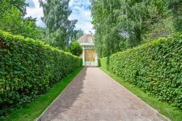 istock Path for pedestrians in the summer park 1264695304