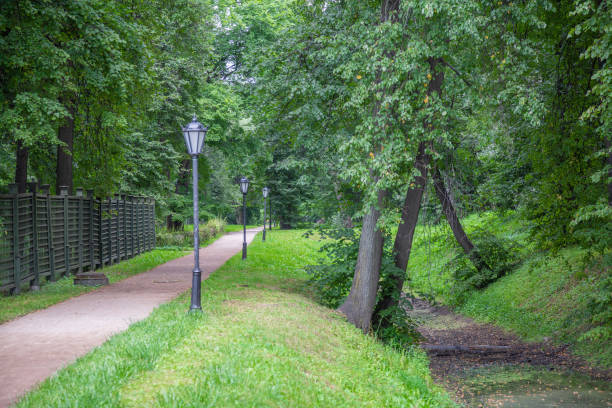 istock Path for pedestrians in the summer park 1264695306