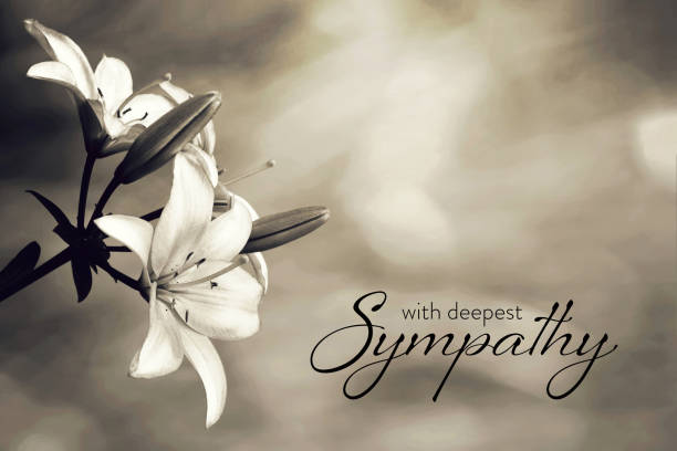 tarjeta de simpatía con flores de lirio - dolor fotos fotografías e imágenes de stock