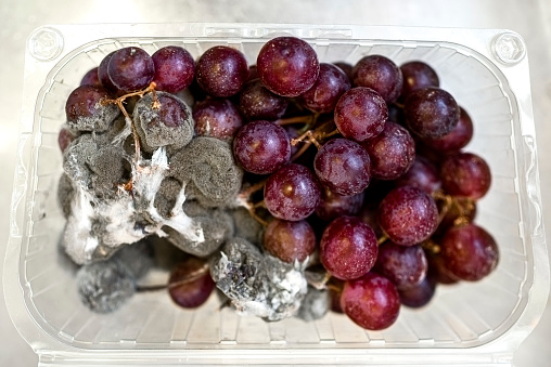 grape berries lie on a dark background in the kitchen