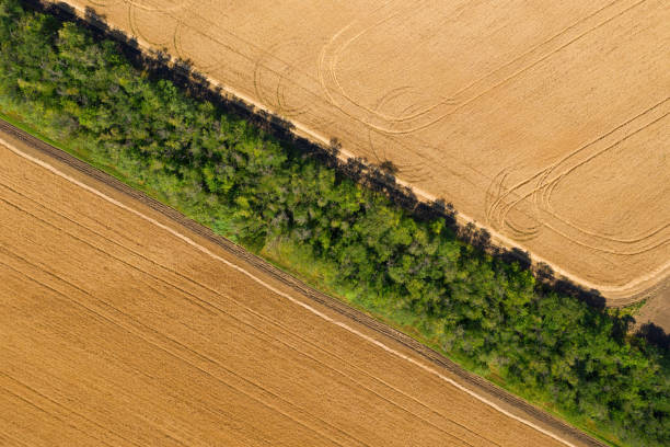 istock Village landscape with harvest fields. 1264702552