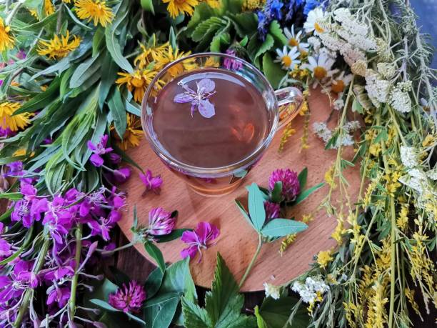 istock fresh forest herbs and tea from them in a glass mug 1264706637