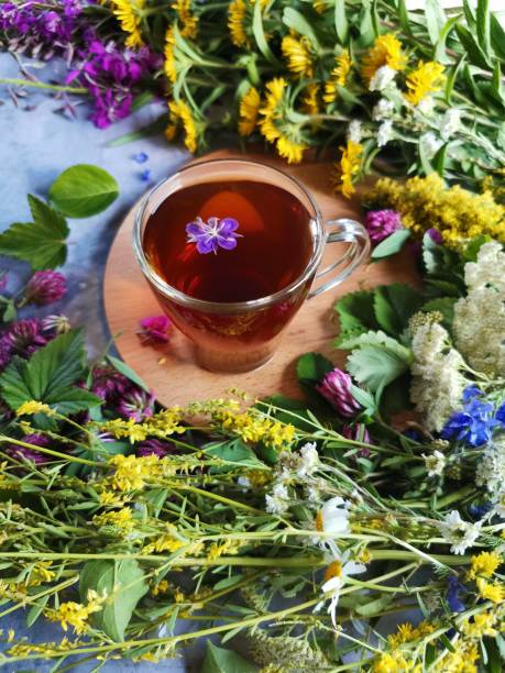 istock fresh medicinal herbs and a mug of tea on a concrete table 1264706708