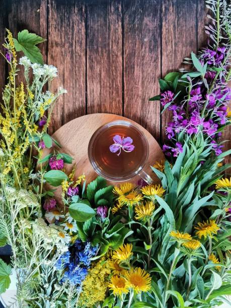 istock fresh medicinal herbs and a mug of tea on a wooden table 1264707676
