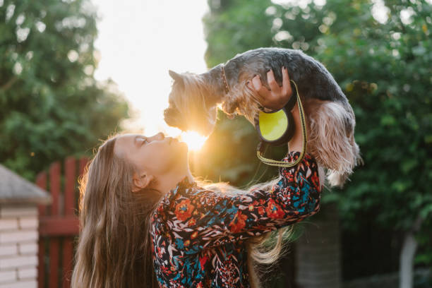 istock Girl riding on roller-skates with yorkshire-terrier  in summer 1264707867