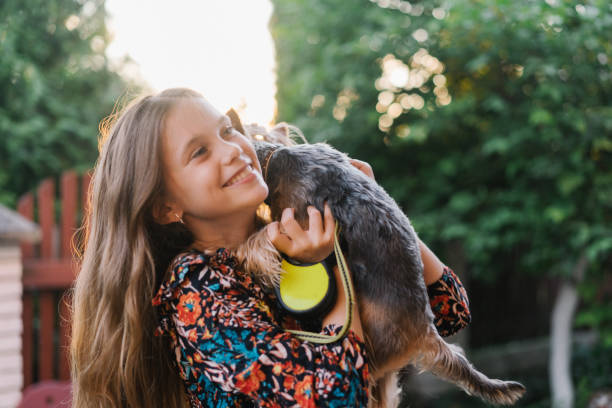 istock Girl riding on roller-skates with yorkshire-terrier  in summer 1264707904