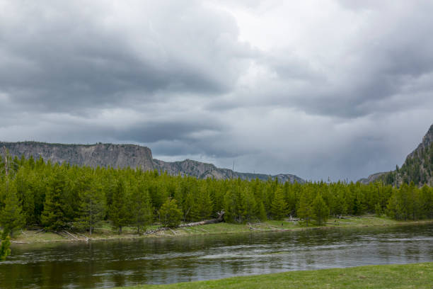 istock River Bluffs, Yellowstone National Park 1264708055