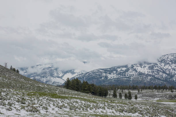 istock Valley Clouds, Yellowstone National Park 1264708713