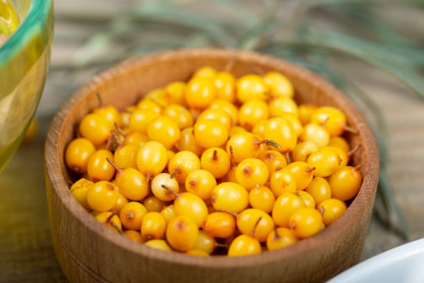 istock Berries of sea-buckthorn 1264711762