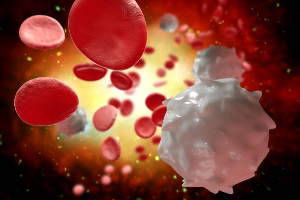 istock Red White Blood Cells 3D Illustration 1264712713