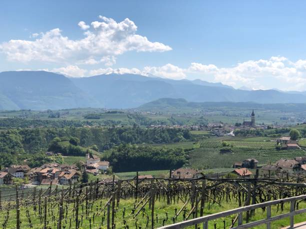 istock Appian in Southtyrol 1264713040