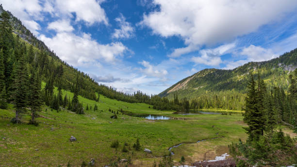 istock Mountain Valley In Springtime With Clouds and Blue Skies 1264716822