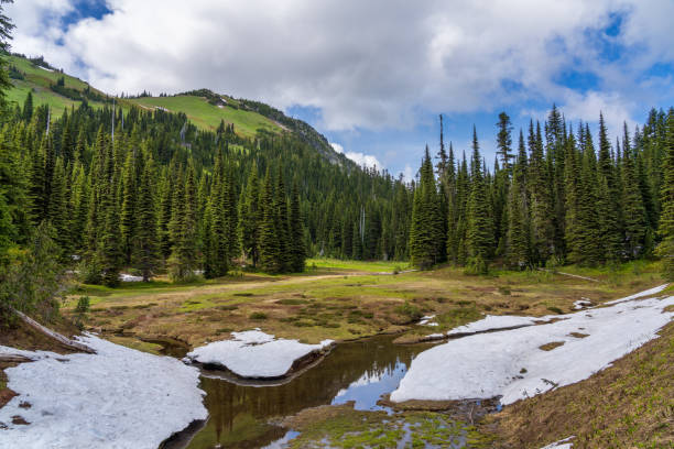 istock Mountain Valley In Springtime With Clouds and Blue Skies 1264716851