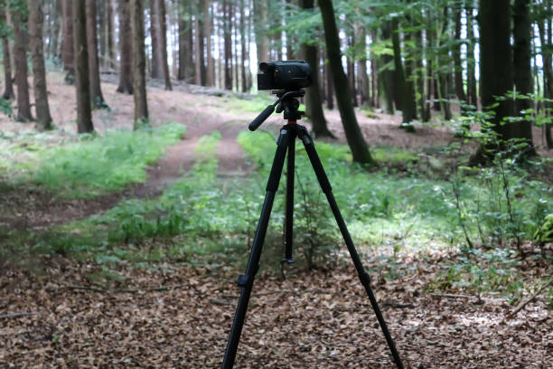 istock Camera on a tripod standing in a forest with no visible people 1264717668