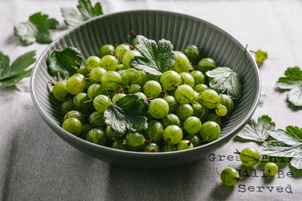 istock Green gooseberries with leaves in a gray ceramic plate on a gray kitchen towel. 1264719621